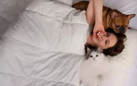 Cât de bine este să dormi cu animalul de companie în pat