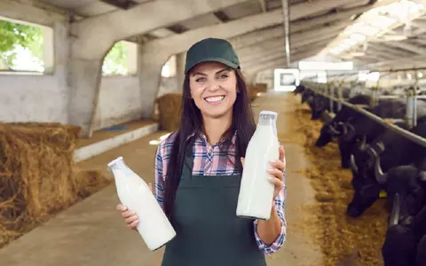 Lapte de bivoliță – ce proprietăți și beneficii are