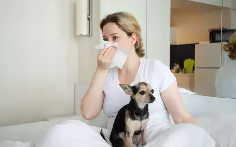 Rinita alergică - factori de risc, cauze, prevenție