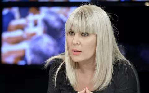 Elena Udrea rămâne în închisoare, după ce Curtea Supremă a respins cererea de revizuire a condamnării. De ce fostul ministru al Turismului se află la Penitenciarul Târgşor