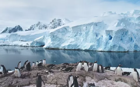 Antarctica – curiozități despre continentul mai mare decât Europa
