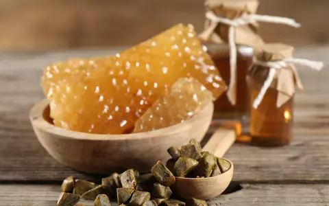 Propolis – ce beneficii are pentru sănătate