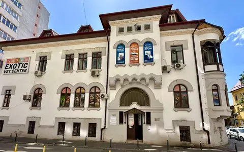 Îngrijirea corectă a animalelor exotice - Sfatul veterinariilor specializați