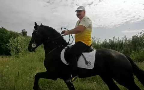 Ce animale exotice are Nuțu Cămătaru în propria grădină zoologică din Ferentari. Un pui de cangur alb, care îi aparține, a fost surprins ieri pe străzile din București