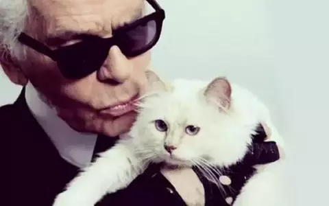 Choupette, pisica-moștenitoare a lui Karl Lagerfeld, are geantă Vuitton și doarme pe haine Chanel: "A avut întotdeauna caracterul unei prințese"