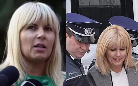 Elena Udrea a cerut din nou reducerea pedepsei pe care a primit-o în dosarul Gala Bute. Ce a spus în fața magistraților pentru a-și justifica solicitarea