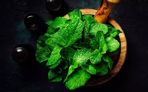 De unde vine expresia "a freca menta"
