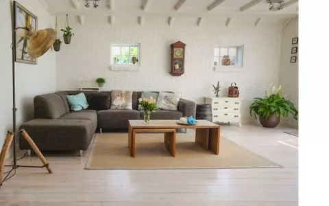 Top 10 plante care curăță aerul – plante purificatoare