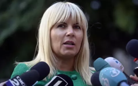 Elena Udrea află dacă va fi eliberată din închisoare. Ce a declarat în fața judecătorilor / Decizia finală este așteptată astăzi