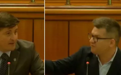 Scandal în Parlament, între AUR și USR, la dezbaterea unei legi pe tema culturii: "Ești un putinist infect"/ "Nu sexul este problema, creierul poate fi"