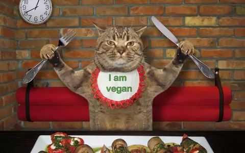 Cât de sănătoasă este o dietă vegană pentru pisici