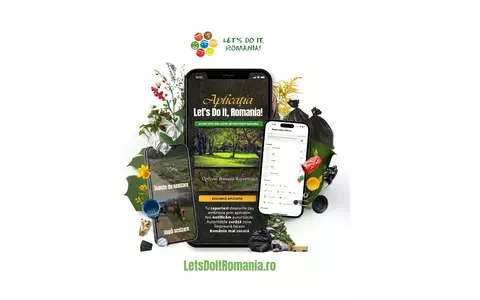 Românii raportează, autoritățile intervin: rezultatele aplicației Let’s Do It, Romania! 