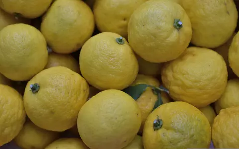 Ce gust are Yuzu și cum se mănâncă acest fruct exotic originar din China. Are beneficii extraordinare pentru sănătate și frumusețe!