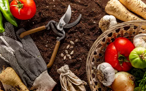 Unelte și produse agricole: ghid pentru fermieri mici