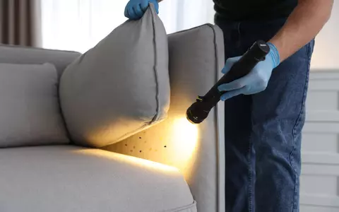 Dezinsecție ploșnițe – cum te ajută serviciile profesionale să scapi definitiv de infestare