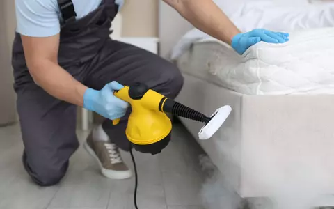 Husă anti ploșnițe și alte metode ecologice de eliminare a ploșnițelor de pat