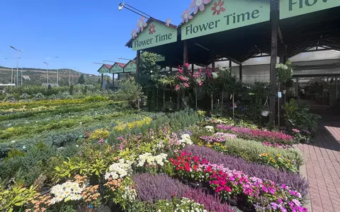 Grădina care arată bine fără să muncești în ea în fiecare weekend