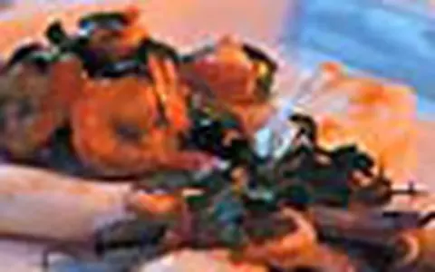 Sea food Dish
