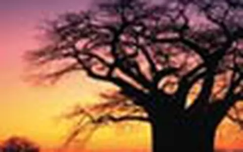 Africa de Sud