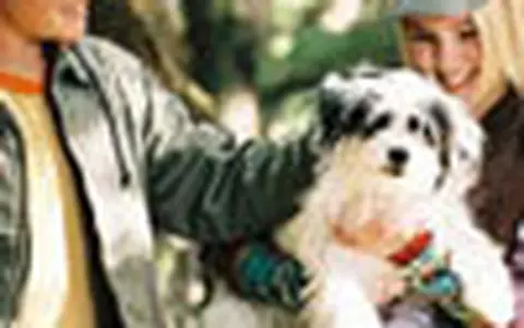 Podul catre Terabithia