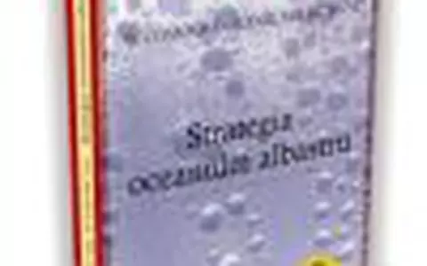 W. Chan Kim, Renee Mauborgne - Strategia oceanului albastru