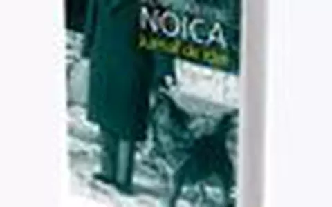 Constantin Noica - Jurnal de idei