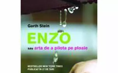 Garth Stein - Enzo sau Arta de a pilota pe ploaie