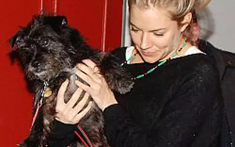 Sienna Miller s-a intors la Jude Law