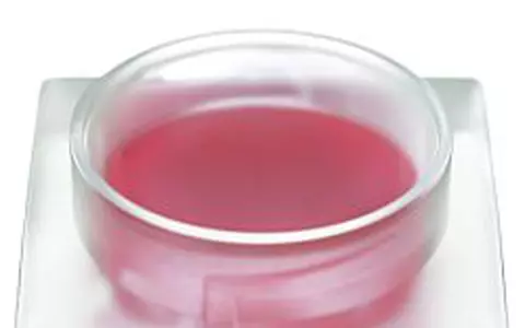 Gama de machiaj Bio Sante