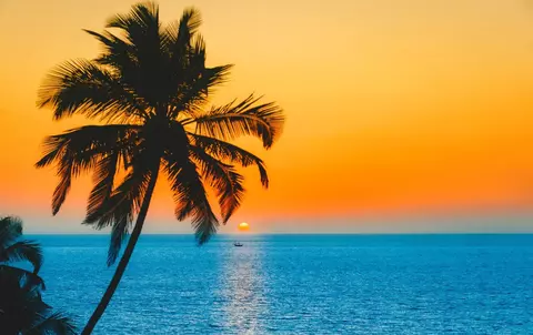 Redefinirea Paradisului: O privire asupra viitorului sudului litoralului