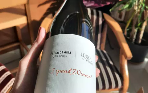 „Vinul tău din via ta”: Fetească Albă 2021 de la Crama „1000 de Chipuri” / De ce să cumperi doar o sticlă, când poți avea tot butașul?