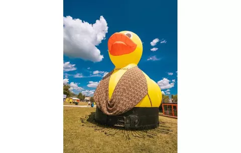 Ținute de festival fără „dacă” și „parcă”. Zalando transformă rața emblematică de la Electric Castle
