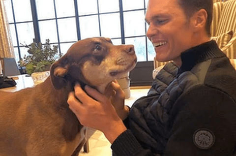 Și-a clonat câinele! Tom Brady a dezvăluit cât l-a costat procedura și unde se află clinica