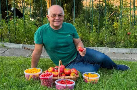 Imagini din grădina lui Emil Boc. Primarul din Cluj a cules primele roșii cultivate de el: „O satisfacție pe care niciun magazin nu o poate oferi”