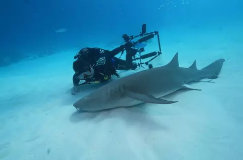 Un influencer a fost atacat de un rechin în timpul unei scufundări în Fiji. Greșeala care era să-l coste piciorul