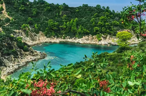 Top 7 cele mai frumoase plaje din Grecia, de la nisipul roz din Creta la peisajul selenar din Milos. Recomandările experților pentru vara 2026