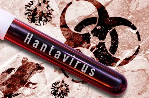 Un cercetător român a calculat cât de severă ar fi o epidemie de hantavirus față de cea de COVID 19. Anunțul OMS