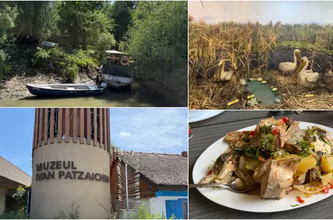 Redescoperă Tulcea: o călătorie între Delta Dunării, gastronomie locală și experiențe autentice