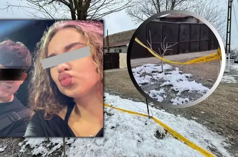 Ce rol a jucat sora lui Mario în prinderea ucigașului său. Cum a ajuns, de fapt, unchiul băiatului din Cenei la cel care a comis crima