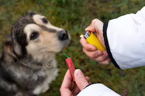 Taxează dur artificiile de Revelion: „Mi se pare suficient pentru ca alte civilizații să nu ne contacteze!”