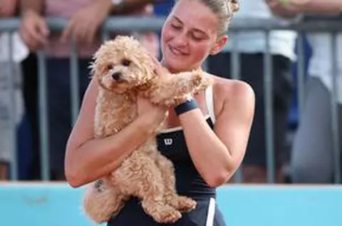 Ultima „fiță” la Roland Garros: tot mai mulți tenismeni sunt însoțiți de animale de companie