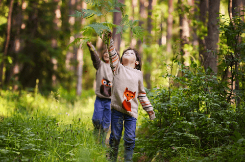 Cum influențează natura dezvoltarea cognitivă a copiilor?