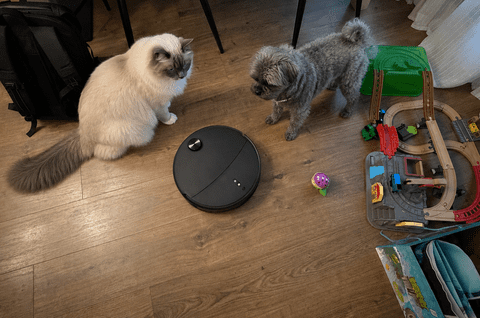 Atunci când casa începe să aibă grijă singură de ea: experiența Roborock Qrevo Edge 2
