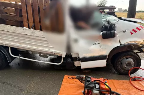 Tragedie în Ilfov. Un bărbat a murit în timpul furtunii de aseară, după ce un copac a căzut peste mașina în care se afla