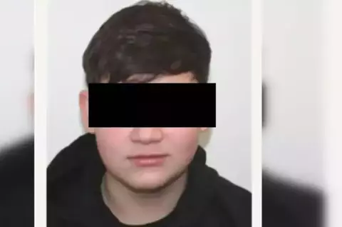 Prima sentință în cazul lui Mario Berinde, băiatul din Timiș ucis de prietenii lui. 15 ani de detenție și daune de un milion de euro pentru unul dintre adolescenți