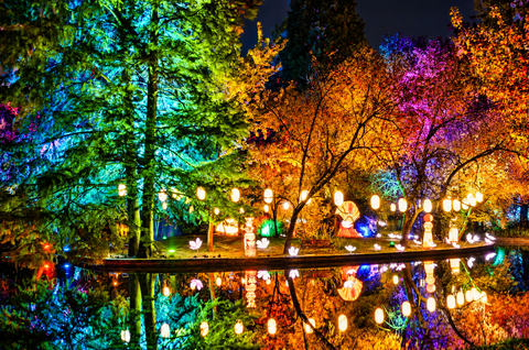 Bucureștiul a pornit în „Ocolul Pământului”: 15.000 de vizitatori în primele trei zile la Lumina Park