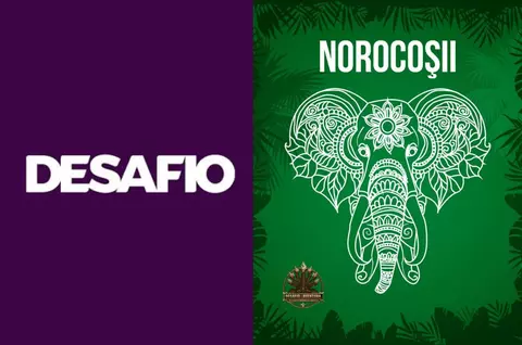 Cine sunt concurenții de la „Desafio: Aventura”, noul show de la PRO TV. Delia Salchievici, Florin Prunea, Codruța Sanfira și alți cinci fac parte din echipa „Norocoșii”