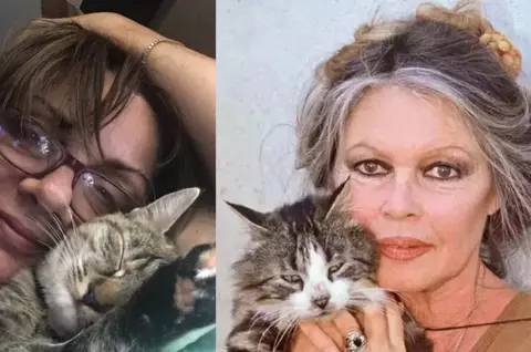 Cum a fost întâlnirea memorabilă dintre Carmen Tănase și Brigitte Bardot și ce a învățat-o: ”A venit în România și datorită mie și Cristinei Țopescu, pentru că noi i-am scris o scrisoare despre animale” / EXCLUSIV!