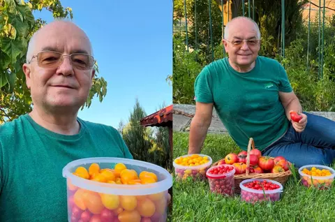 Imagini inedite din grădina lui Emil Boc. Primarul din Cluj-Napoca a cules primele roșii din acest sezon, cultivate chiar de el: „Poate nu sunt cele mai mari sau perfecte. Dar, pentru mine, sunt cele mai valoroase”