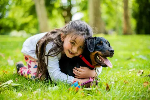 Cel mic își dorește un animal de companie? Iată care este cea mai potrivită opțiune pentru familie